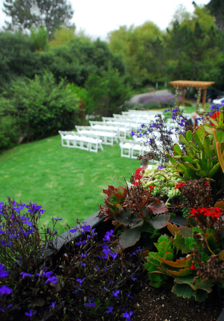 the pelican inn rustic wedding venues bay area