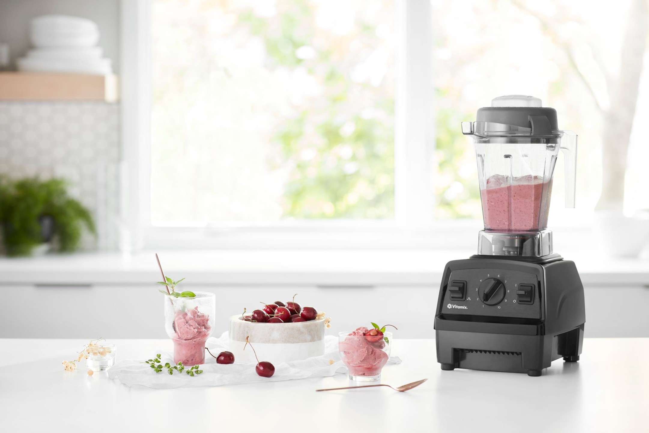 Vitamix E310 Explorian Series Blender