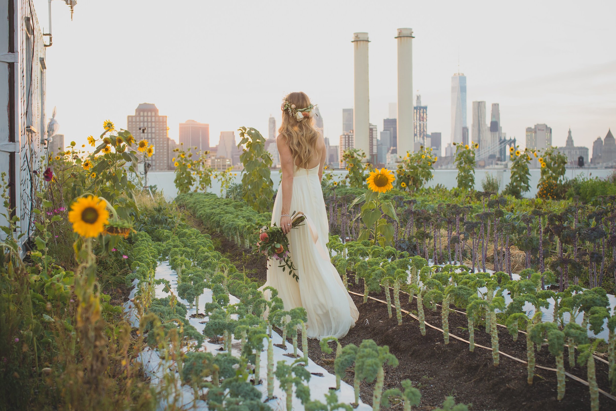bride walks through rooftop farm with sunflowers and city views